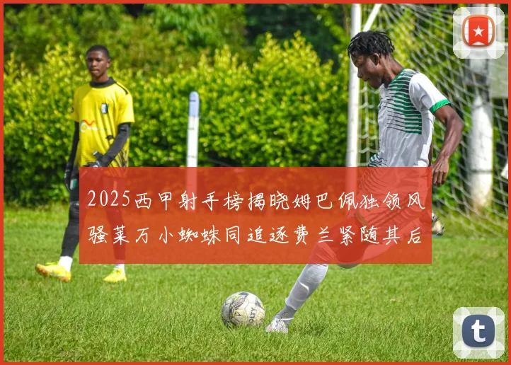2025西甲射手榜揭晓姆巴佩独领风骚莱万小蜘蛛同追逐费兰紧随其后
