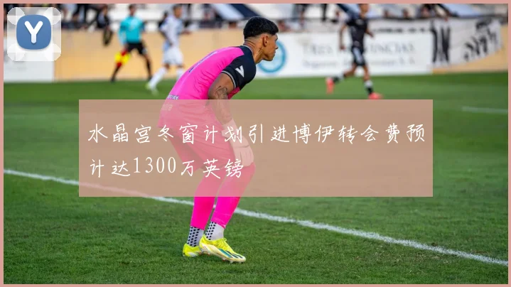水晶宫冬窗计划引进博伊转会费预计达1300万英镑