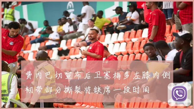 费内巴切宣布后卫塞梅多左膝内侧韧带部分撕裂将缺席一段时间