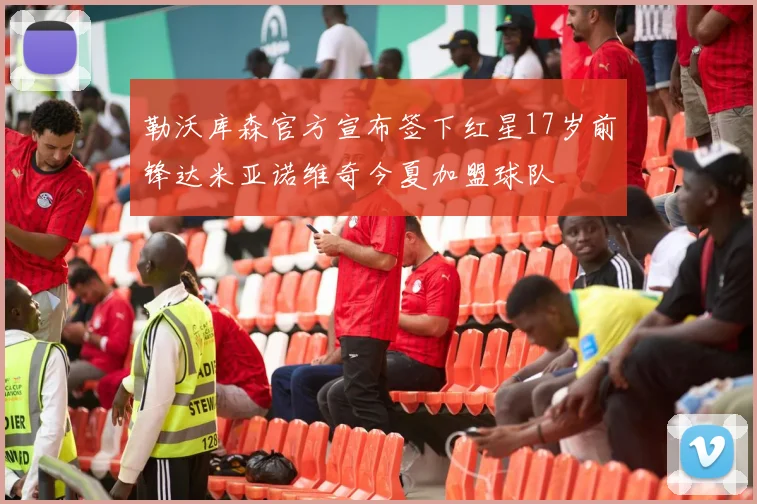 勒沃库森官方宣布签下红星17岁前锋达米亚诺维奇今夏加盟球队