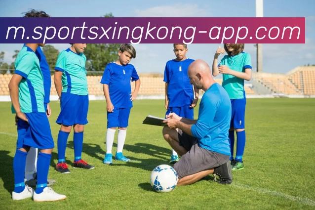 星空体育发展历程