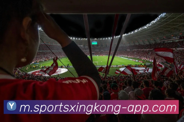 曼城冬窗欲签格伊报价至少3500万镑力争匹配竞争对手出价